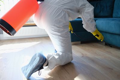 Residential Fumigation in Tampa, FL
